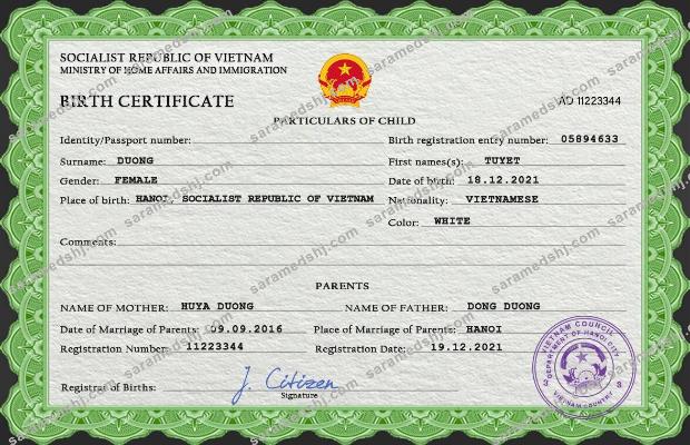 Vietnam birth certificate PSD template